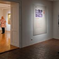 Snímek z výstavy děl Václava Brožíka.