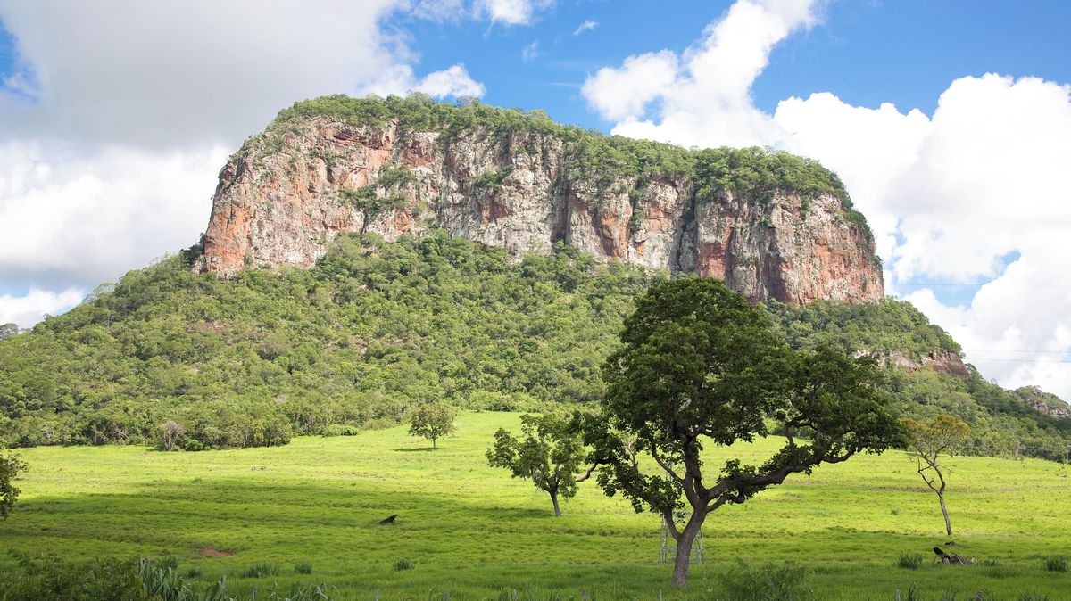 Jak čeští Němci jezdili do Brazílie kácet prales. Vypráví o nich román
