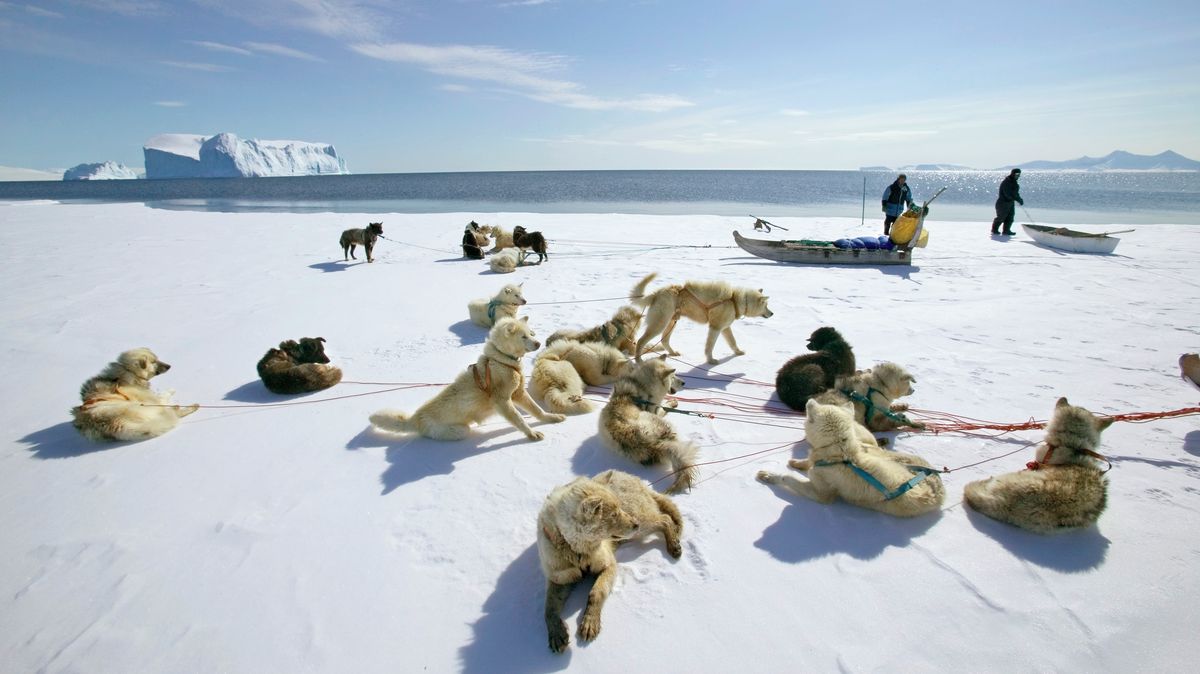 Fotky: Trump se jim vysmíval. Hlídky v Grónsku jsou ale jen pro ty nejtvrdší