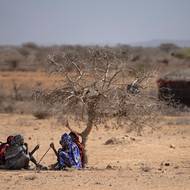 Další deště se neočekávají dříve než v dubnu, pokud tedy vůbec nějaké přijdou.