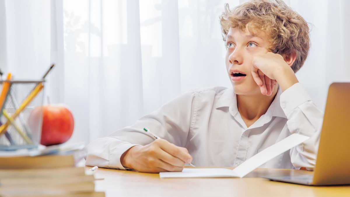 Příprava na přijímačky na poslední chvíli: kurzy zadarmo i školní přípravky