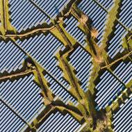 Řady solárních panelů se táhnou napříč krajinou. Snímek je součástí projektu, jehož cílem je zdokumentovat vztah mezi přírodou a průmyslem podél řeky Severn v Anglii a Walesu. Autorem je Francesco Russo.