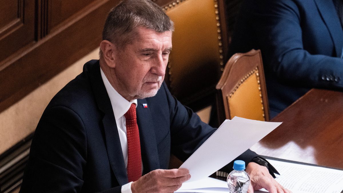 Plán pro krizi duševního zdraví. Babiš chce chystané změny osobně hlídat