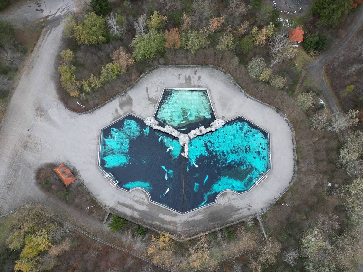 Oceánium a tematický park s vodními atrakcemi, který se nachází poblíž Niagarských vodopádů na kanadsko-americké hranici, je od roku 2024 uzavřen pro veřejnost a snaží se prodat své pozemky a zvířata.