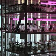 Laboratoř zahrady, kde jsou rostliny skladovány, 11. února.