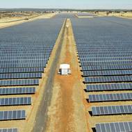 Farma v Dubbo však byla průkopníkem v oblasti agrovoltaiky a mnoho dalších se jejím příkladem inspiruje. „Na všech našich solárních farmách v Novém Jižním Walesu se nyní pasou ovce,“ uvedla Emily Walkerová, ředitelka společnosti Neoen pro tento stát.