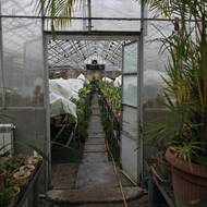 Téměř denní ostřelování spolu s náhlým ochlazením ohrožuje lidské životy. Představuje ale také bezprecedentní hrozbu pro Ivannikovovu pýchu a radost: sbírku téměř čtyř tisíc druhů.