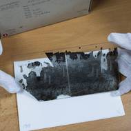 Na fotce lze pozorovat stromy, podle nich by mohli badatelé určit, kde se místo nachází. 