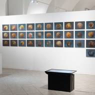 Cyklus Martina Velíška Říjen představuje 31 maleb na dřevě. Autor sebral na zahradě každý den jedno jablko, vyfotil ho a následně jej namaloval.