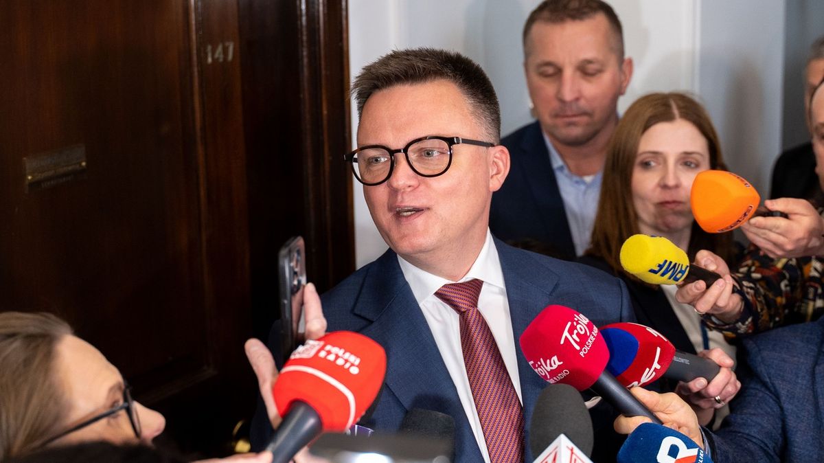 Visegrád je jako nesmrtelný šváb a Maďaři sní Putinův sen, zní z Polska