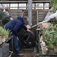 Jednotlivé exempláře již vadnou, ale rozsah škod nelze odhadnout, destruktivní dopad chladu se může projevit až za několik týdnů, nebo dokonce měsíců.

(Roman Ivannikov, vedoucí oddělení tropických a subtropických rostlin Národní botanické zahrady Gryška.)