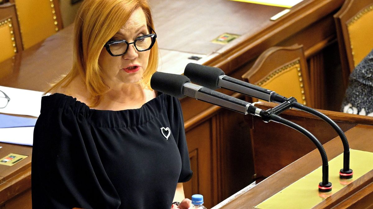 Vláda v noci prosadila rozpočet. Rozjíždí se výdajový mejdan?