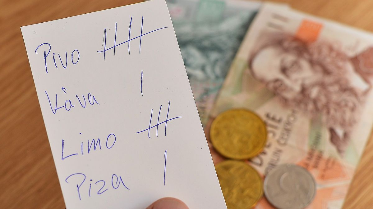 Šedá ekonomika na talíři: Co udělá nová EET se spropitným