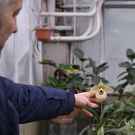 „Naše děti vyrostly na cestách této zahrady. Vložili jsme do toho celý život,“ řekl 51letý Ivannikov agentuře AFP a snažil se potlačit slzy. 