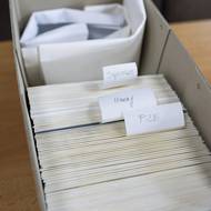 Nyní mají badatelé vše dobře roztříděno. 