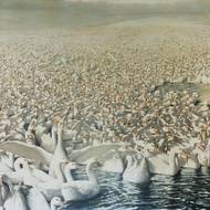 Bedřich Dlouhý: Husy, 1988 až 1999.