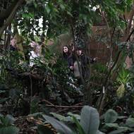 „Cestovali na různá místa a přiváželi rostliny z oblastí, kde tyto lesy již neexistují. Pokud o tyto rostliny přijdeme, už je nebudeme moci obnovit,“ řekl Ivannikov.