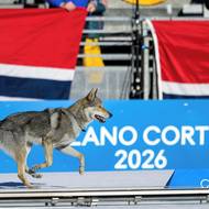 Podle norského listu VG má jít o československého vlčáka jménem Nazgul.