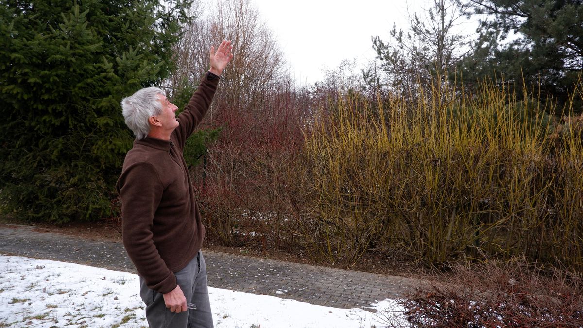 U hospice chce stavět developer. Pokud začne, stěhujeme se, varují doktoři