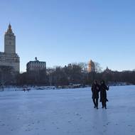Národní meteorologická služba uvedla, že po pondělních vytrvalých mrazech by se teploty měly po většinu týdne pohybovat kolem nuly. Obvyklé maximální hodnoty se v tomto období roku pohybují okolo čtyř stupňů Celsia.