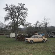 Yutong Xie se dosud zúčastnil několika skupinových výstav v Česku i zahraničí.