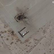 Zničený radarový systém na íránské letecké základně Zahedán. (1. března)