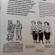 Jedna sluje Pechmanová – slyším bratři vzdech. Jenom aby podle jména neměla pak pech. Druhá sluje Zemínová – pojďte sestry sem. Když ta spustí, tak se třese tribuna i zem. Třetí. Fanda Plamínková, – šedý vlas je klam, an. senát neutlumí, v srdci věčný plam. Tuto „básničku“ publikovali spolu s karikaturou senátorek v periodiku Šlehy: list politicko-humoristický.