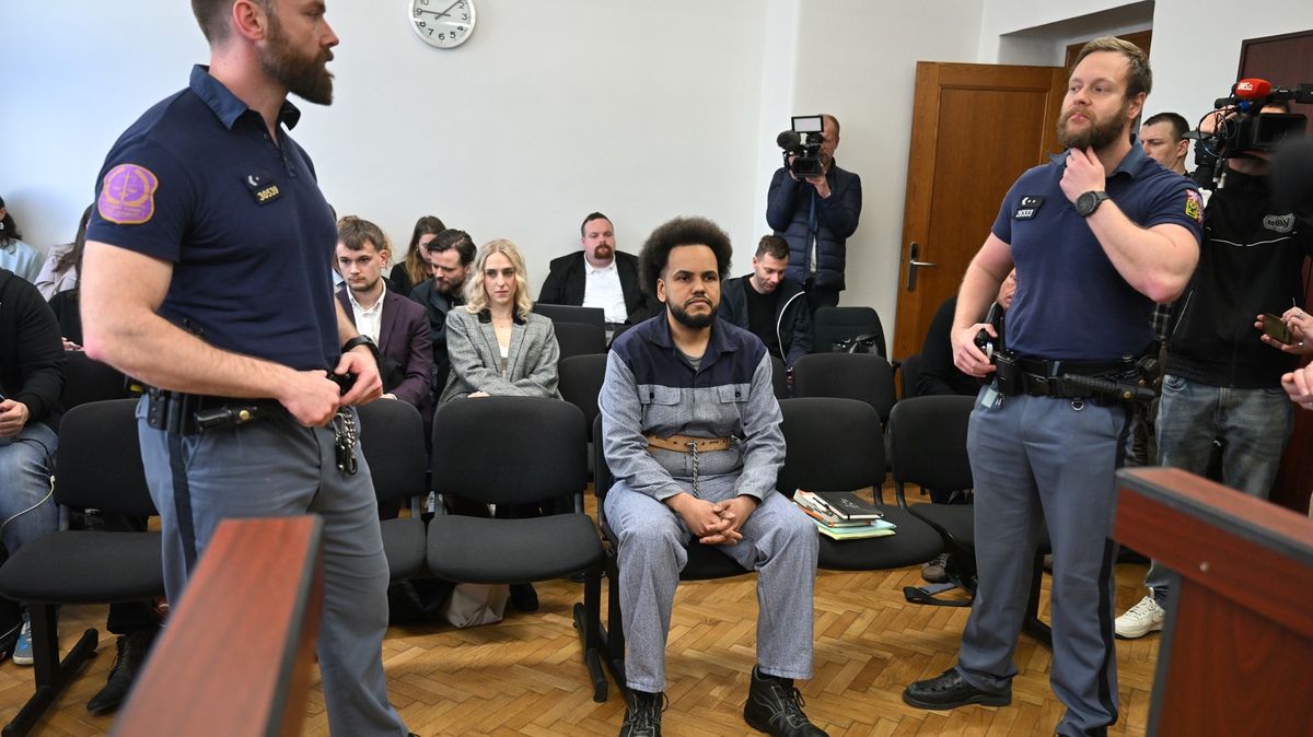 Feri u soudu odmítl obžalobu z dalšího znásilnění