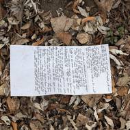 Jeden prosebný lístek zavál vítr mezi loňské listí na leżajském hřbitově. Jsou na něm jména jako Baruch, Jechezkel nebo Menachem a vedle nich prosby o zdraví, požehnání v obživě a přání, aby se dočkali radosti, úspěchu nebo vhodného sňatku.