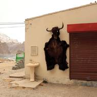 „Naše akce je zcela závislá na přírodním ledu,“ vysvětlila Saliha Ibrahimová, členka organizačního týmu. „Pokud se nám nepodaří povrch zlepšit, budeme muset zvážit opětovnou změnu místa konání.“

(Opuštěný obchod stojí u částečně zamrzlého jezera Attabad, které vzniklo v roce 2010 v důsledku sesuvu půdy, poté co během zimy klesla hladina vody, údolí Hunza, Pákistán, 12. ledna.)