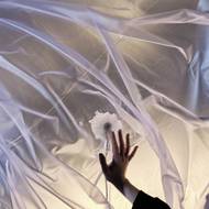 Například dílo nazvané Látková výměna tvoří ve ztmavlé místnosti obří zvětšené střevo vytvořené z PVC.