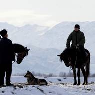 Díky vládní podpoře se od konce 90. let podařilo počet jaků zdvojnásobit na více než 60 tisíc.