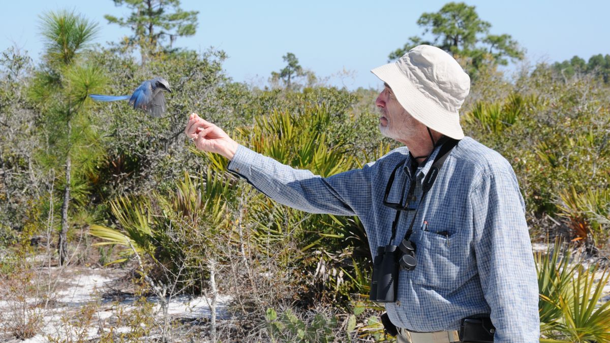 Příběh velkého omylu. Co si vzít ze života vědce, jenž věštil apokalypsu