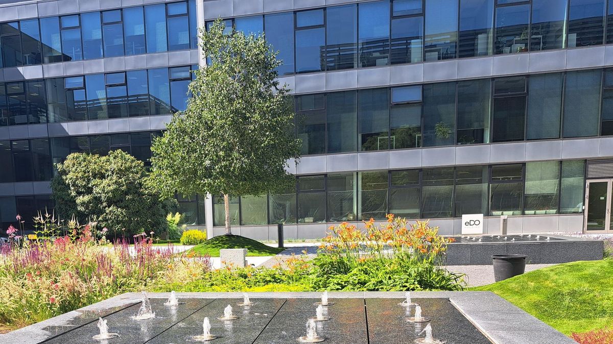 Nabízeli rizikové investice, teď se snaží získat vliv na insolvenci MR Trade