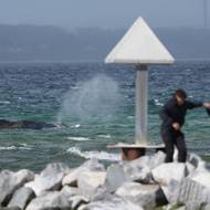 „Musíme bohužel teď jen přihlížet a čekat, jak to půjde dál,“ uvedl ve středu Carsten Mannheimer z ekologické organizace Sea Shepherd. 