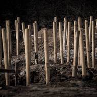 V žateckých zákopech cvičila československá lidová armáda za dob socialismu.