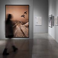 Hit by News, DOX, výstava, 2026