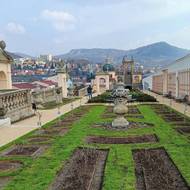 Zámek Děčín - Růžová zahrada.