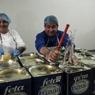 Ovčí a kozí neštovice jsou virového původu. První případy byly zaznamenány na severu Řecka v srpnu 2024, od té doby se nemoc rozšířila do dalších regionů. Řecké úřady napočítaly bezmála dva tisíce případů nemoci.

(Továrna na sýr v Soluni, 19. února.)