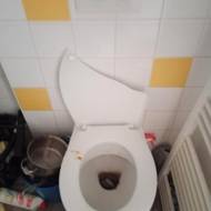 Sanitární zařízení bylo silně znečištěné a vyžadovalo kompletní vyčištění i další zásahy.