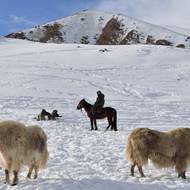 Amantur je nejmladším členem třígenerační rodiny chovatelů – vedle svého 88letého dědečka Taštanbeka, který stádo vychoval, a 52letého otce Baatyrbeka.