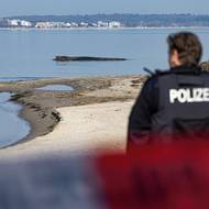 Samice keporkaků se samy na průzkumné plavby podle nich nevydávají.