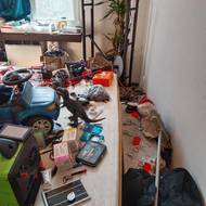 Místnosti byly zaplněné odpadky a osobními věcmi, byt tak bylo nutné nejprve celý vyklidit, než mohly začít opravy.