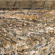 „Kiefer ve své tvorbě řeší kolektivní vinu Němců za to, co provedli lidstvu ve 20. století. Tady mně přijde, že interpretaci je třeba ještě rozšířit o vyhnání Němců,“ uvažuje Jiří Fajt. Na fotografii je detail Kieferova díla.