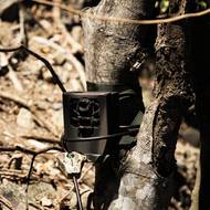 „Kromě toho, že ubývá vegetace, která brání erozi, čímž roste riziko sesuvů půdy, je ohrožena také rozmanitost zvířecích druhů,“ dodala. (Na snímku kamera, která slouží k odhadu počtu koz na kopci Le Chameau, 18. března.)