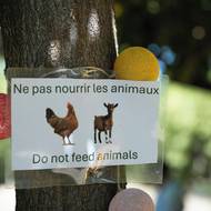 Podobný model chtějí zopakovat také na ostrovech Les Saintes. „Musím vydat nařízení proti volnému pohybu zvířat a zajistit pro ně pastviny,“ vysvětluje čerstvě znovuzvolený starosta Terre-de-Haut Louly Bonbon a zdůrazňuje, že v budoucím územním plánu obce se s pastvinami počítá. (Cedule na pláži Pompierre v Terre-de-Haut na ostrově Les Saintes, 18. března.)