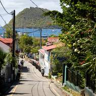 To bude potřeba zvláště proto, že se na ostrově rozšířil další druh - ovce. Z původního páru, který vypustil místní chovatel, se stádo rozrostlo na 25 kusů.