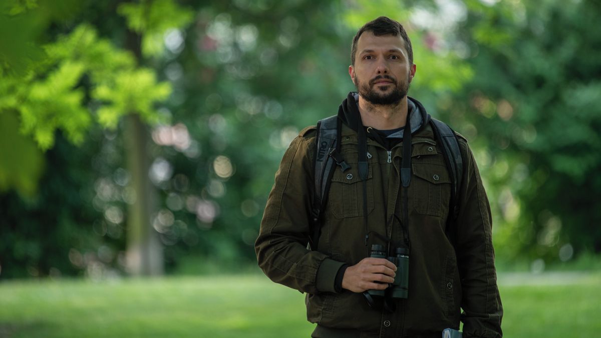 Proč zpívají ptáci brzy ráno? Aby se vyhnuli dopravní špičce, říká biolog