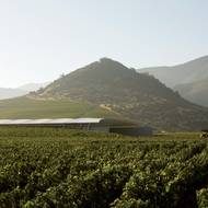 Vinařství Vik, Millahue v Chile, 2013.