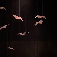 Snímek z choreografie 4 Seasons.